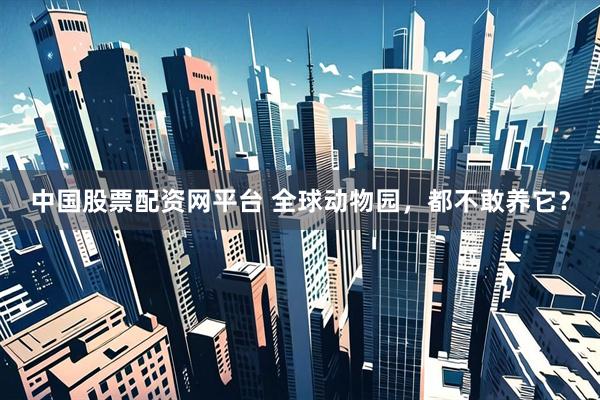 中国股票配资网平台 全球动物园，都不敢养它？